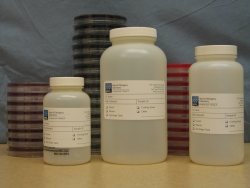    Special Pathogens Laboratory - The Legionella Experts