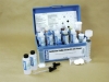 K-1692 Combination Cooling System with Polymer