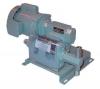 V-10 Simplex 2 inch Piston Pumps