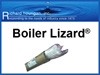 Boiler Lizard - One Lizard