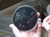 Special Pathogens Laboratory-The Legionella Experts